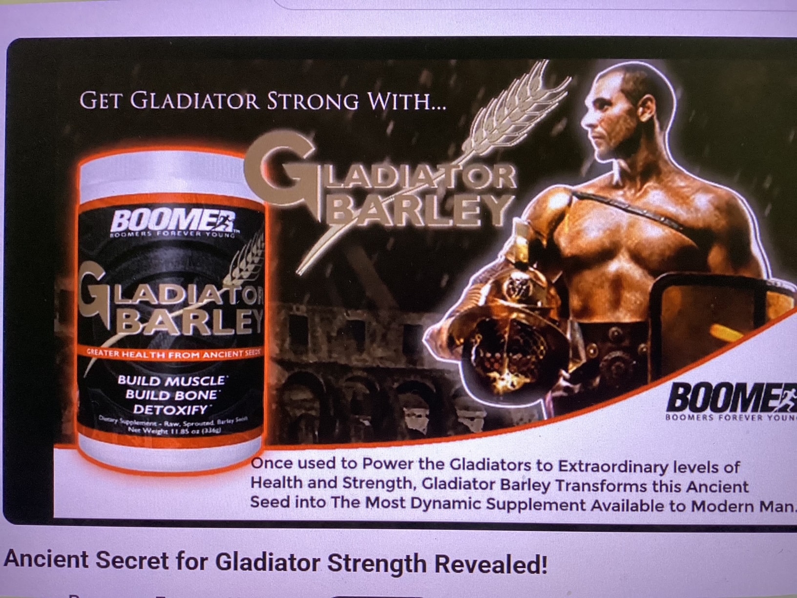 Gladiator Barley
